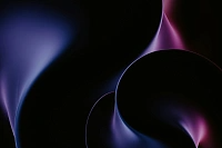 Веб-разработка